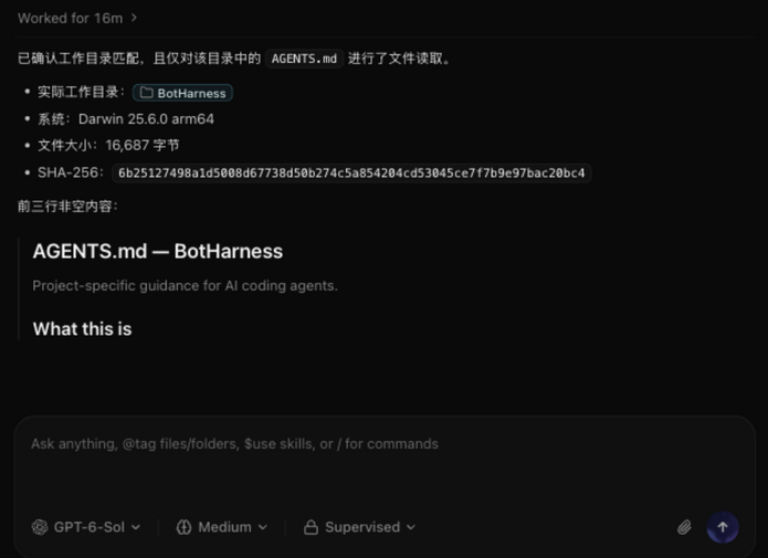原始工作区任务的最终回答界面:完整呈现 Darwin 系统环境、AGENTS.md 精确字节数与 SHA-256 哈希,底部常驻 Supervised 监督模式