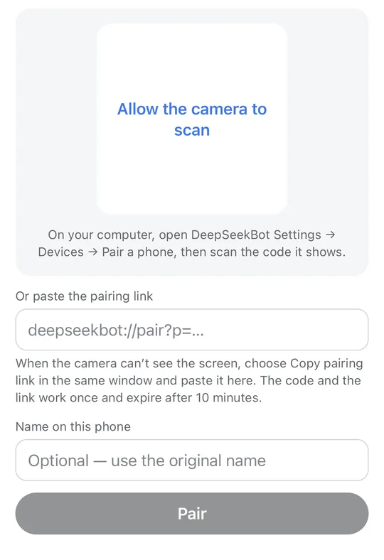The Pair with your computer screen on the phone, with the camera area and the paste field